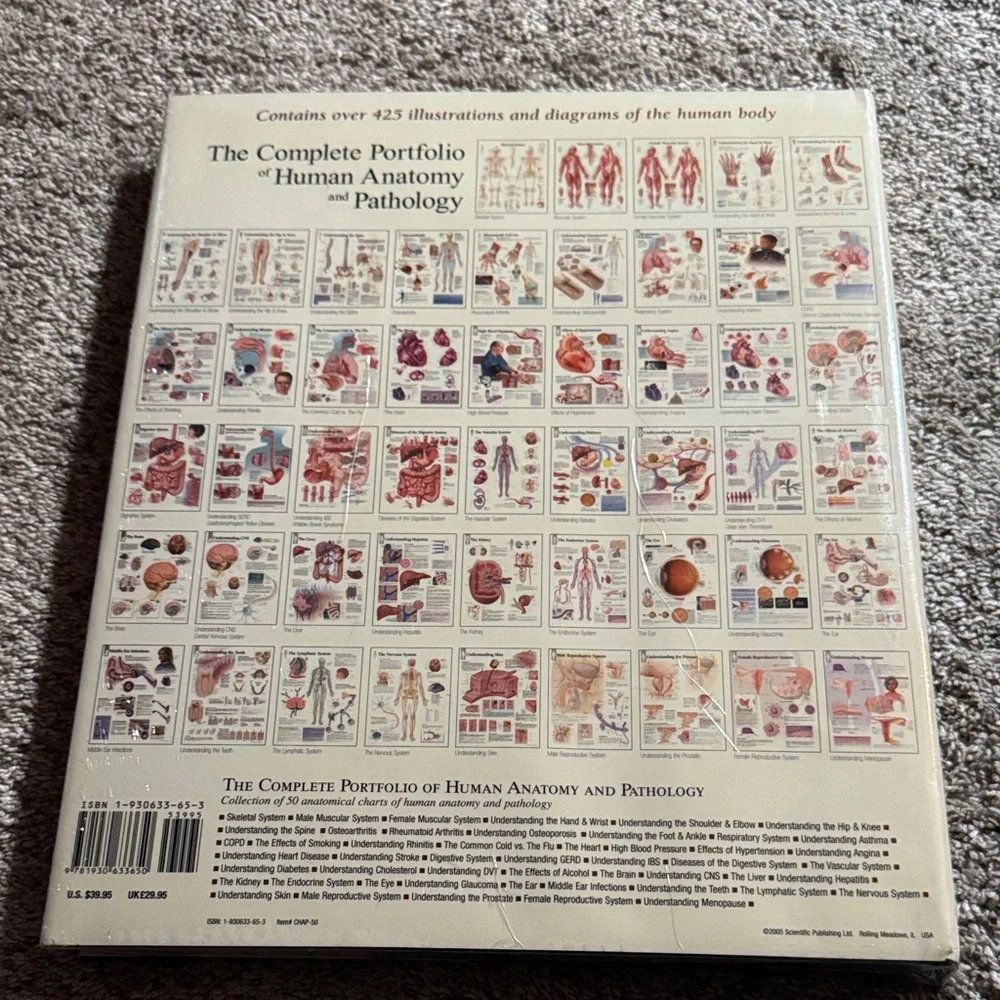 Human Anatomy Chart Portfolio